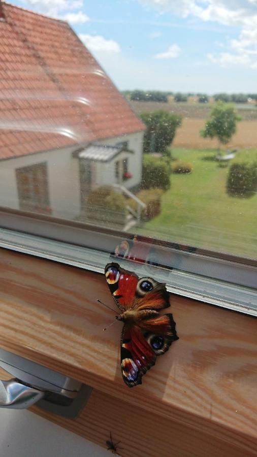 Garden Mellan Slotten Svarte Ngoại thất bức ảnh
