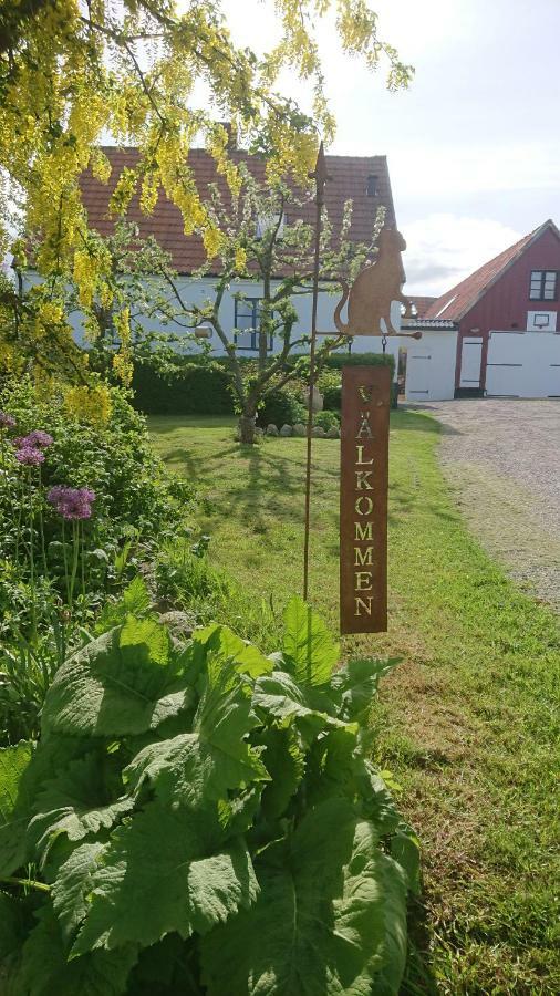 Garden Mellan Slotten Svarte Ngoại thất bức ảnh