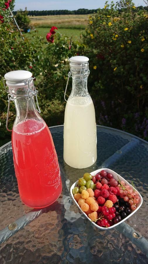 Garden Mellan Slotten Svarte Ngoại thất bức ảnh