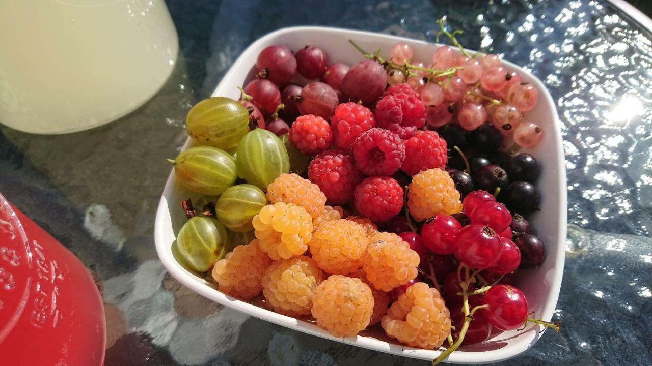 Garden Mellan Slotten Svarte Ngoại thất bức ảnh
